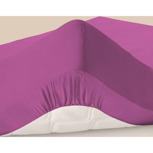 Becquet - Drap-housse  - Linge de lit violet