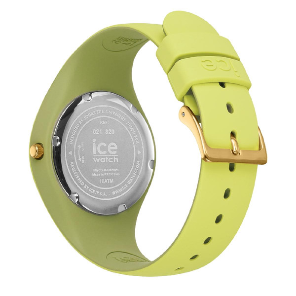 Montre Homme Vert Ice-Watch