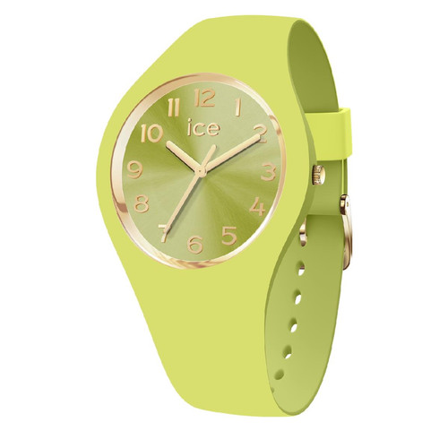 Montre Femme Ice-Watch ICE duo chic - Lime - Small+ - 3H - 021820 Montre Homme