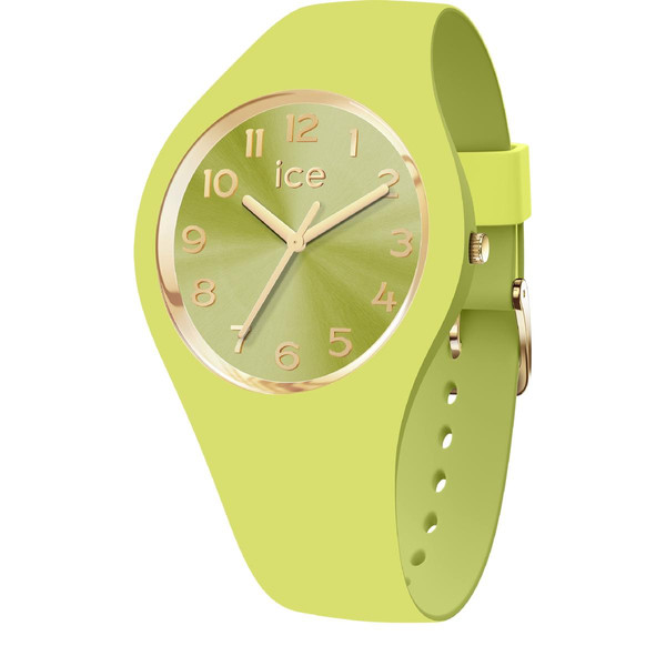 Montre Femme Ice-Watch ICE duo chic - Lime - Small+ - 3H - 021820 Ice-Watch LES ESSENTIELS HOMME