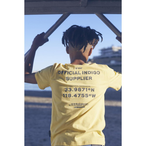 Le Temps des Cerises - Tee-Shirt SHUMBO - T-shirt / Polo garçon