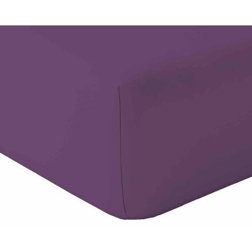 Toison d’or - Drap housse Violet - Draps housse 2 x 90 x 200 cm